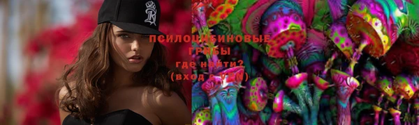 альфа пвп Дмитровск