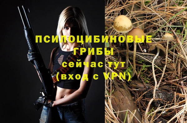 таблы Дмитров