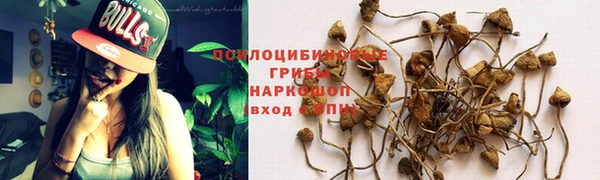 таблы Дмитров